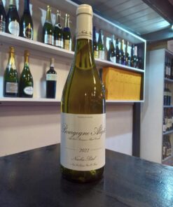 BOURGOGNE ALIGOTE NICOLAS POTEL 2022