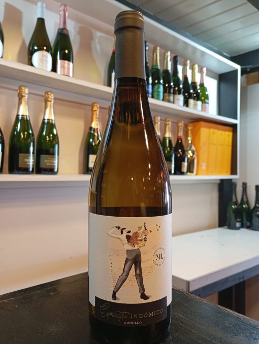 ESPIRITU INDOMITO GODELLO 2023