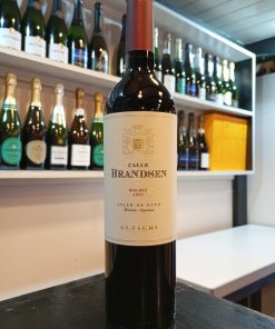 CALLE BRANDSEN MALBEC 2023