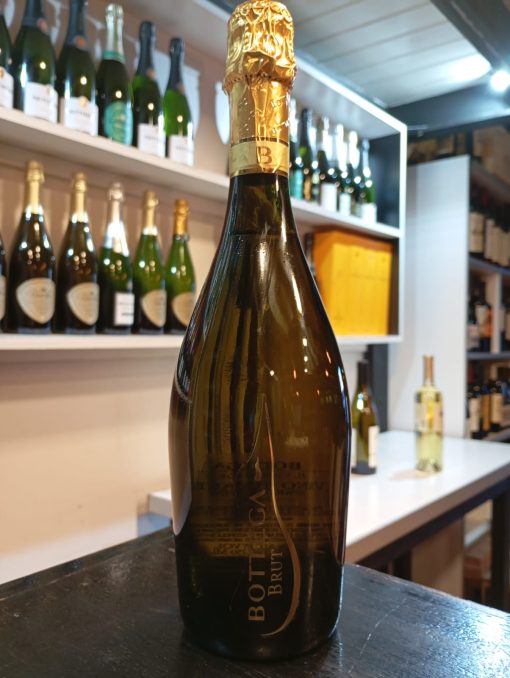 BOTTEGA BRUT