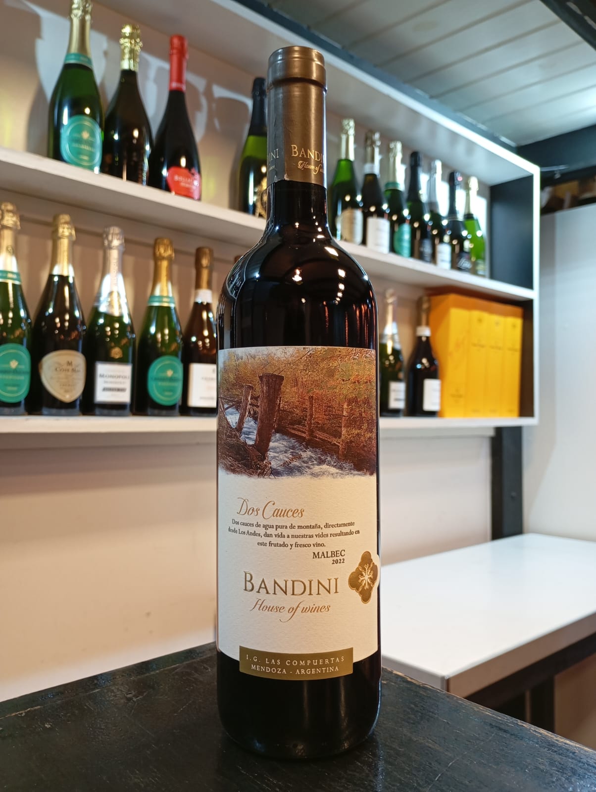 DOS CAUCES MALBEC 2022