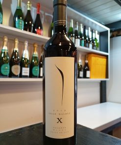 PULENTA GRAN MALBEC X 2019